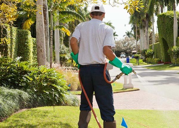 About Dadeville MO Pest Control